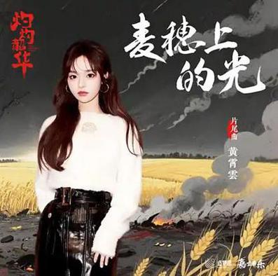 麦穗上的光