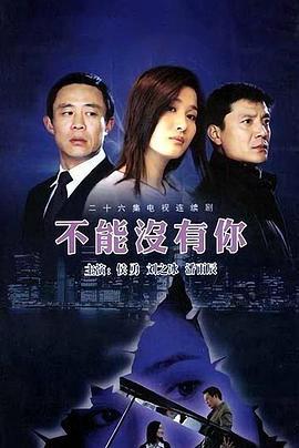 不能没有你电视剧