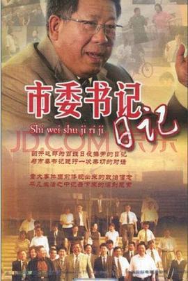 市委书记日记