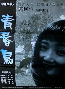 青春鸟