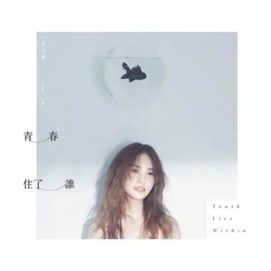 青春住了谁