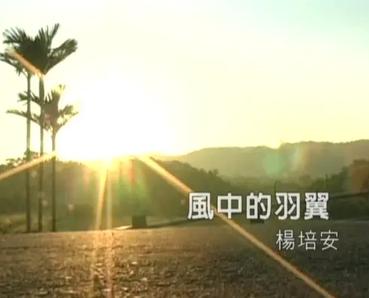 风中的羽翼