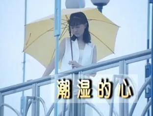 潮湿的心