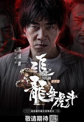 追龙番外篇之龙争虎斗