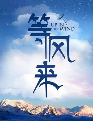 等风来