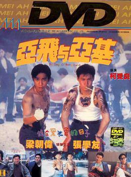 亚飞与亚基