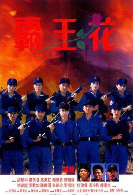霸王花1988