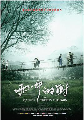 雨中的树