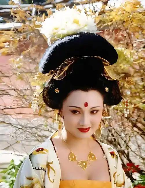 林芳兵杨贵妃