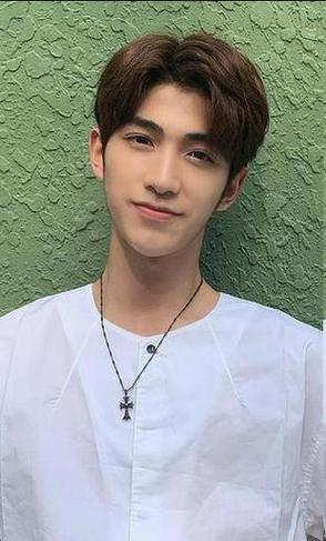 蔡正杰